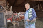 Truda liniștită a Mariei Hoardea, ultima „bunică” a turiștilor din Țara Colibelor