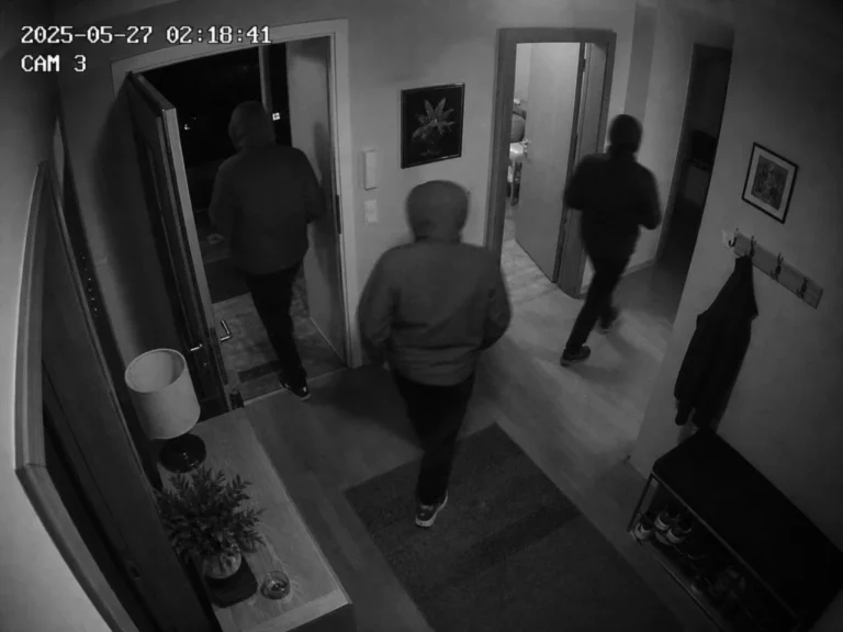 Șapte inculpați, dintre care cinci minori la data faptelor, condamnați într-un dosar de furturi din locuințe în Sibiu