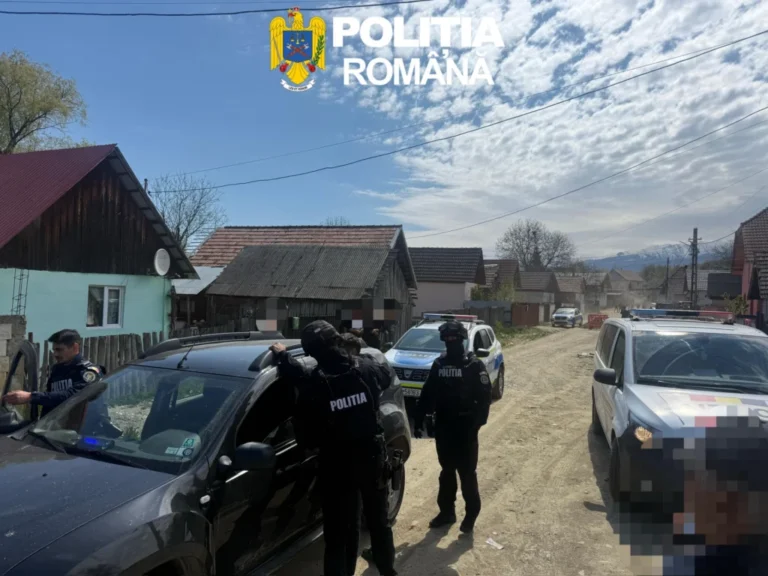 Doi tineri implicați în furtul de arbori de la Arpașu de Sus au fost reținuți pentru 24 de ore!