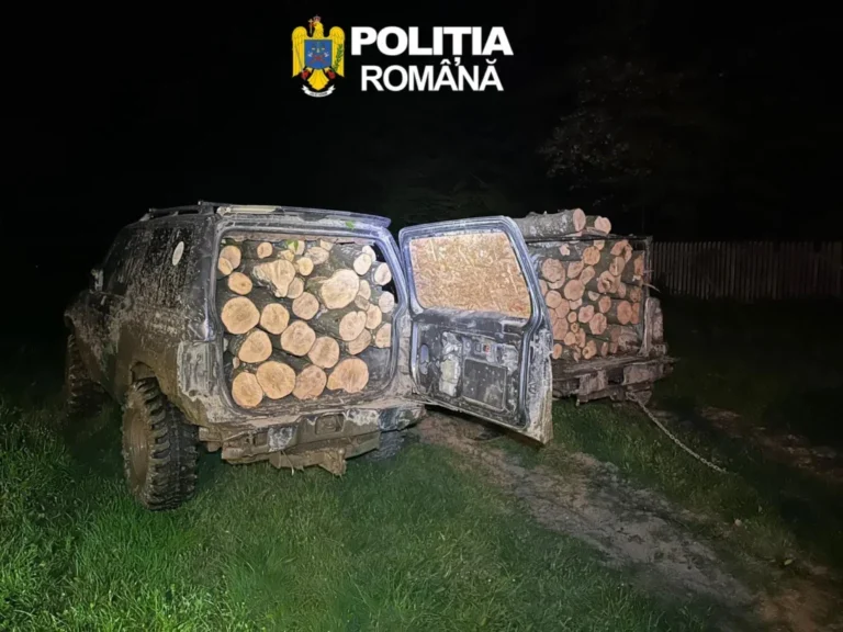 Părinții tinerilor acuzați de furt la Arpașu de Sus rup tăcerea și aduc acuzații grave de abuz și tortură: „I-au încătușat și apoi i-au bătut!”