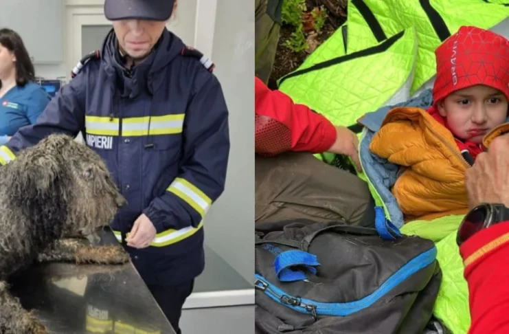 Două vieți au fost salvate la Sebeșu de Jos. Pompierii sibieni, în timpul căutărilor lui Alex, au salvat un cățel imobilizat în mâl!