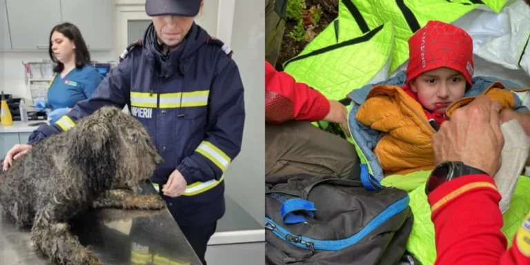 Două vieți au fost salvate la Sebeșu de Jos. Pompierii sibieni, în timpul căutărilor lui Alex, au salvat un cățel imobilizat în mâl!