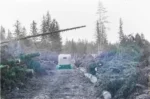 Uraganul din 1939 care a culcat pădurile Sibiului. Dezastrul de la Păltiniș și Șanta a dus la construirea unei căi ferate forestiere dispărute