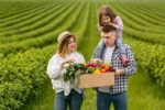 Investiții masive în sectorul avicol din Sibiu și sprijin pentru cultivatorii de legume!
