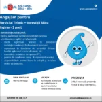 APĂ CANAL SIBIU angajează inginer pentru Serviciul Tehnic – Investiții