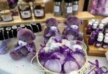 Ediția cu numărul 47 a Lavanda Fest revine la Sibiu în Piața Mare Panoramă aeriană a Pieții Mare din Sibiu, decorată pentru cea de-a 47-a ediție Lavanda Fest.