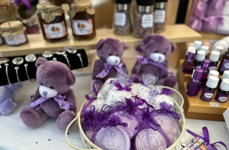 Ediția cu numărul 47 a Lavanda Fest revine la Sibiu în Piața Mare