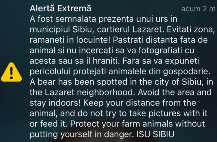 Urs semnalat în cartierul Lazaret din Sibiu, pe malul Cibinului