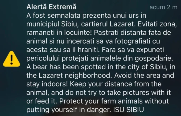 Urs semnat în cartierul Lazaret din Sibiu, pe malul Cibinului