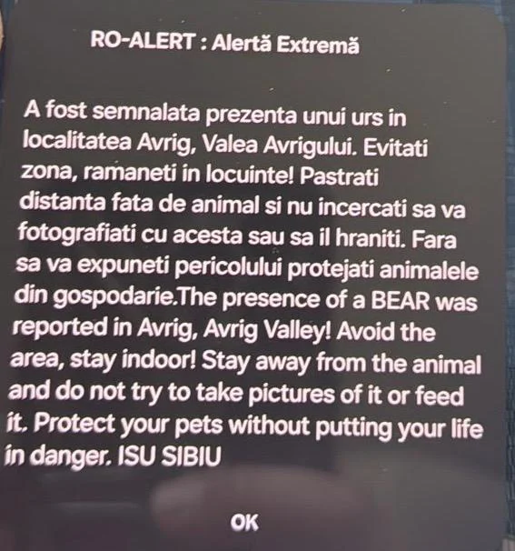 Prezența unui urs a fost semnalată pe Valea Avrigului