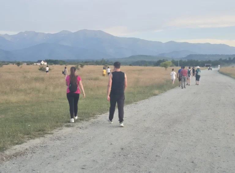 Eforturi intense pentru găsirea femeii de 79 de ani din Avrig: Aproximativ 100 de voluntari s-au alăturat până acum la căutări!