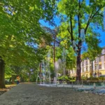 DSP Sibiu: recomandări pentru populație în contextul temperaturilor ridicate. Cum ne protejăm în zilele caniculare