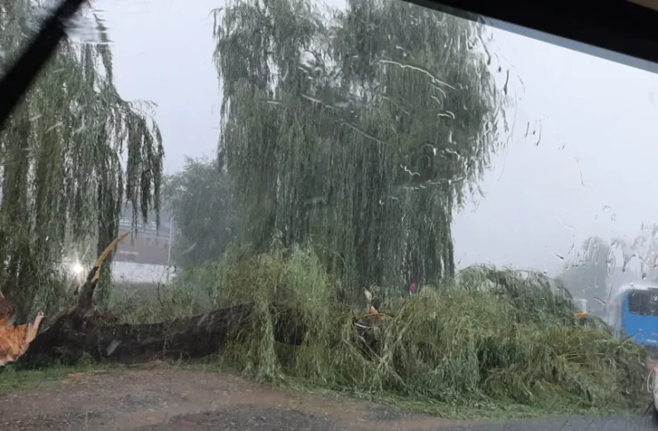 Bilanțul ISU Sibiu după furtuna de astăzi: Copaci căzuți și subsoluri inundate în mai multe zone din Sibiu!