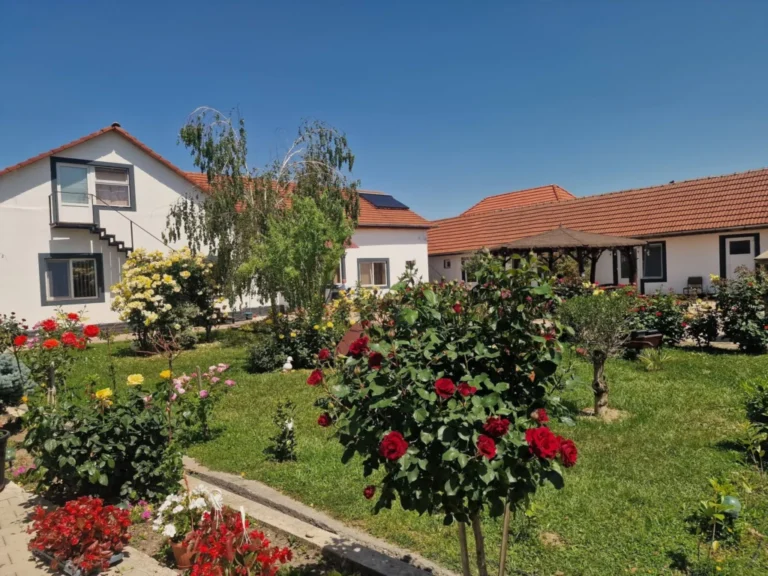 DGASPC Sibiu susține că nu a avut relații instituționale sau contractuale cu Viorel Pașca