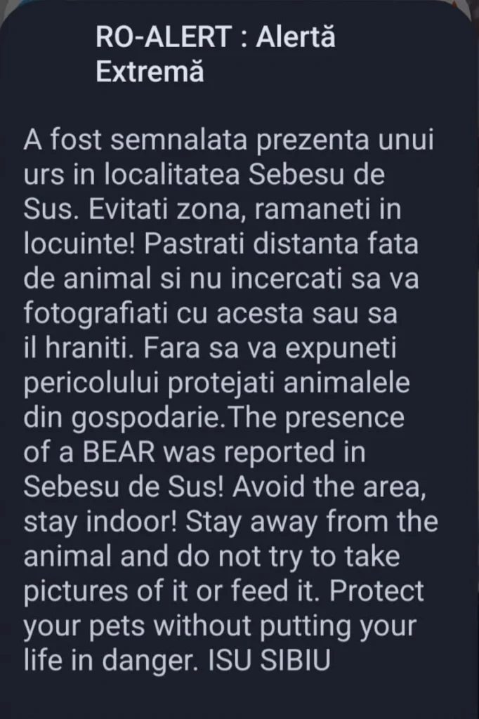 Alertă de urs în Sebeșul de Sus: Autoritățile au emis o avertizare RO-Alert!