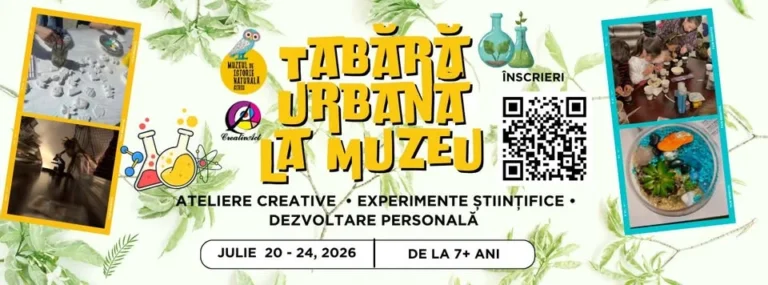 Tabără urbană STEAM la Muzeul de Istorie Naturală din Sibiu. O săptămână de experimente, știință și creativitate pentru copii