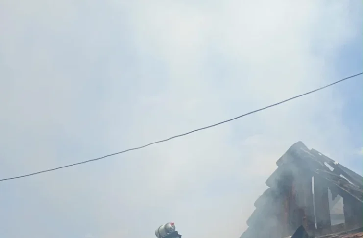 Incendiu violent în Gura Râului: O casă și două anexe gospodărești au fost mistuite de flăcări!