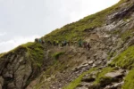 Negoiu sub stele: drumeție de două zile în Munții Făgăraș, cu apus, yoga la răsărit și observarea cerului