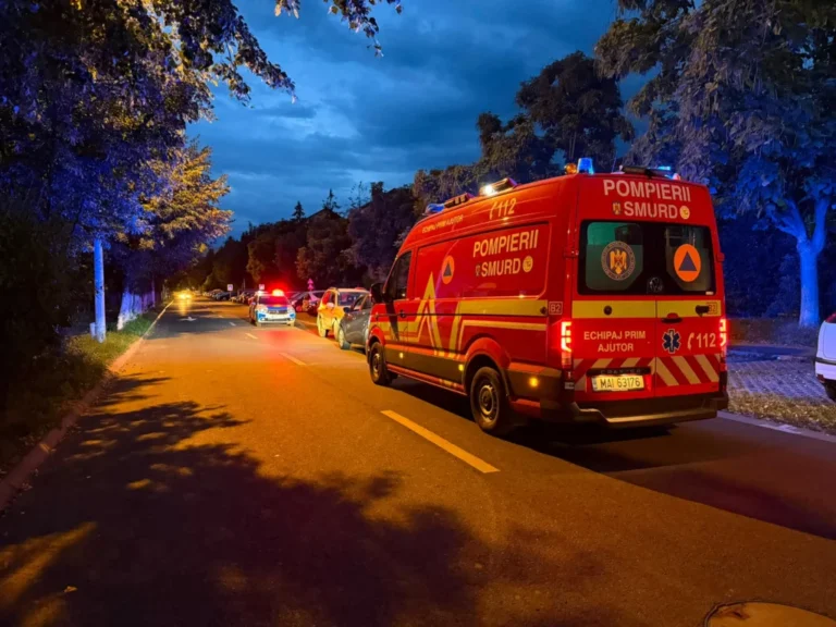 Ursul care a trezit Sibiul. Mesaj RO-Alert la ora 4:53, după apariția animalului pe Bulevardul Milea