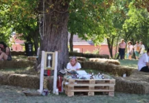REPORTAJ: La Hoghilag, turiștii au fost mai mulți decât tuberozele. Florile s-au epuizat înainte de finalul primei zile. Mâine înfloresc altele… Peisaj rural caracteristic zonei Hoghilag, cunoscută ca Tărâmul Tuberozelor.