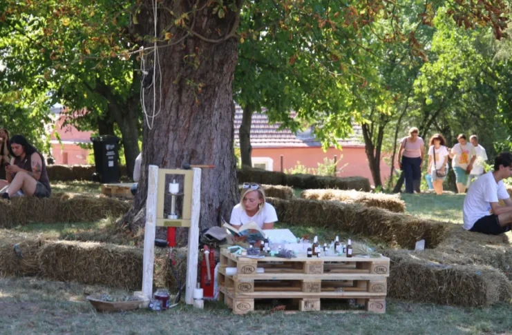 REPORTAJ: La Hoghilag, turiștii au fost mai mulți decât tuberozele. Florile s-au epuizat înainte de finalul primei zile. Mâine înfloresc altele…