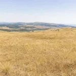 Cod galben de caniculă afișat pe un ecran cu harta județului Sibiu sub soare