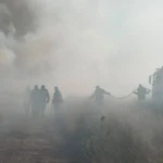 Incendiul devastator de pe Valea Avrigului care a pârjolit 60 de hectare de teren