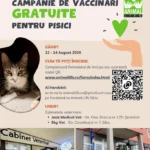 Pisicuță primind vaccin gratuit în cadrul campaniei organizate de Asociația Animal Life.