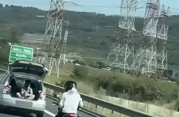 O cursă periculoasă de pe A1 s-a lăsat cu amenzi: Trei tineri au fost identificați de polițiști la doar câteva ore după ce s-au filmat din portbagajul unei mașini!