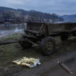 Agresor condamnat pentru violență în familie la Hoghilag, așteptând sentința în instanță.