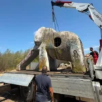 Un simbol al copilăriei din Sibiu a renăscut: Povestea emoționantă a toboganului-elefant salvat în memoria unui tată!