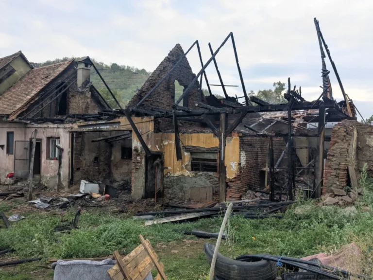 Incendiu la o gospodărie din Richiș: O anexă a fost mistuită de flăcări, iar o casă a fost grav afectată!