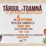 Macheta târgului săptămânal al producătorilor din Sibiu, amenajat la Obor