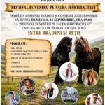 Festival Ecvestru Brădeni: cai puternici în concurs de tragere, pe Valea Hârtibaciului