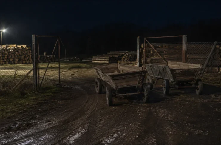 Trei bărbați din Apoldu de Sus, condamnați la închisoare cu executare după ce au furat căruțe confiscate