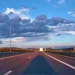 Un șofer de 34 de ani a fost amendat cu aproape 1.300 de lei după ce porcul pe care îl transporta a sărit din remorcă pe banda de urgență de pe autostrada A1!