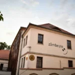 Actorii Teatrului Gong Sibiu în scena spectacolului Baronul din copaci