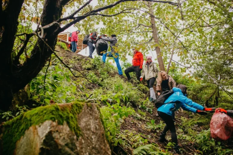 Drumețenia revine la Păltiniș. Voluntarii vor face curățenie, apoi vor porni în patru drumeții ghidate
