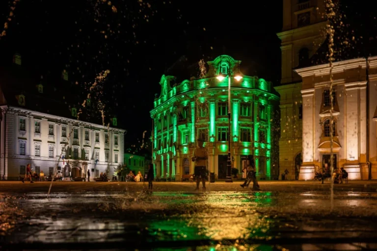 Primăria Sibiu, iluminată în verde pentru conștientizarea Sindromului Leigh