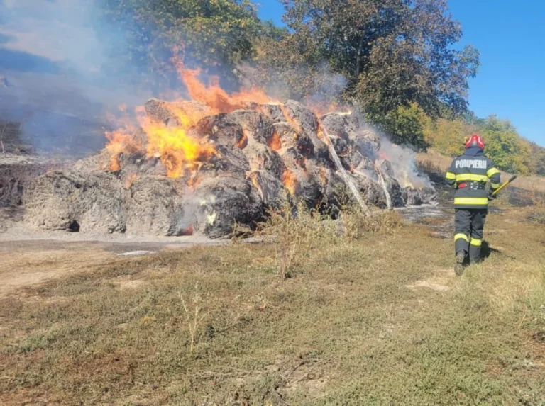 Incendiu la Șeica Mare: 8.000 de metri pătrați de vegetație și 100 de baloți au fost mistuiți de flăcări