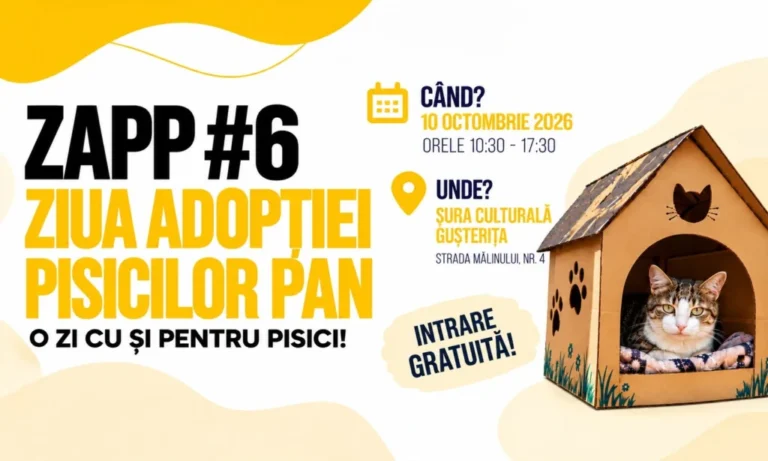 Ziua Adopției Pisicilor PAN revine la Sibiu. ZAPP #6 are loc pe 10 octombrie