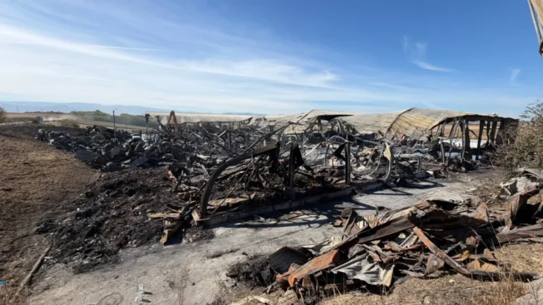 Pompierii au stins incendiul de la hala de reciclare din Rusciori