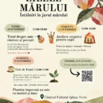 Festivalul Zilele Mărului la Ighișu Vechi, cu standuri și participanți în atmosfera de toamnă.