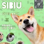 Afis pentru prima ediție a proiectului ESN Sibiu Gives Back de sprijinirea câinilor de la Animal Life