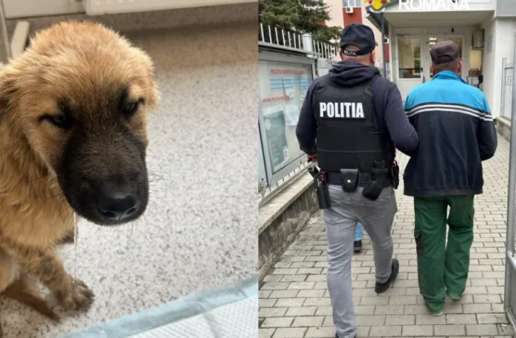 Un pui de câine a fost băgat într-un sac și aruncat de pe un pod în râu. Făptașul a fost reținut!