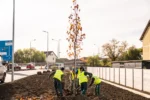 Calea Șurii Mari din Sibiu va fi închisă circulației pe timpul nopții pentru asfaltare. Restricții în perioada 21–31 octombrie