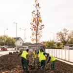 Calea Șurii Mari în Sibiu, o stradă pavată cu clădiri istorice colorate de-o parte și de alta.
