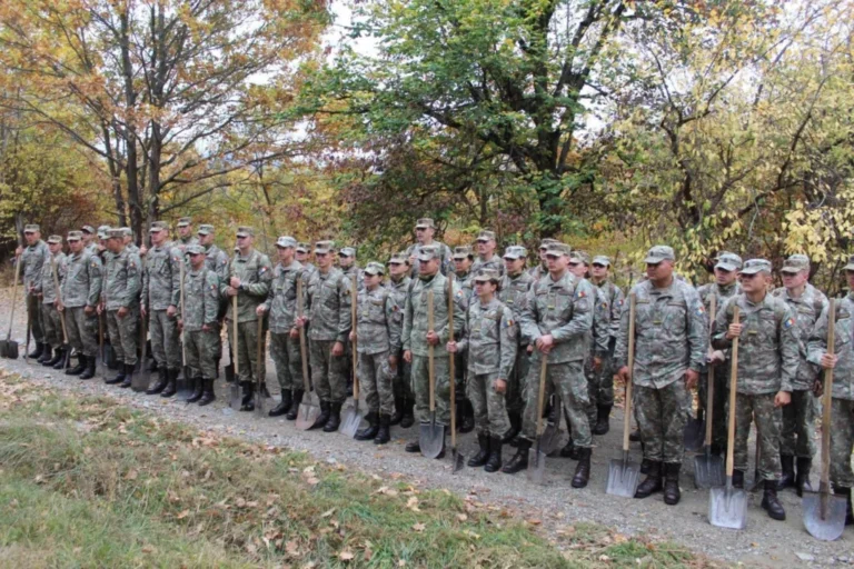 Elevi militari și voluntari au îngrijit Cimitirul Eroilor Necunoscuți din Sebeșu de Jos. Aici sunt înmormântați 82 de soldați căzuți în Primul Război Mondial