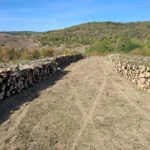 Lemn de foc vândut în comuna Mihăileni la un preț avantajos, pregătit pentru iarnă.