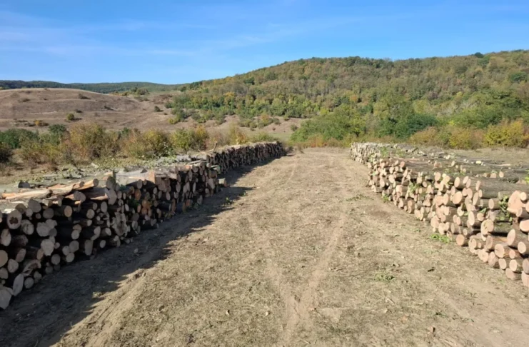 Lemn de foc pentru locuitorii comunei Mihăileni. Prețul este de aproximativ 194 de lei, iar transportul asigurat de Primărie costă 400 de lei